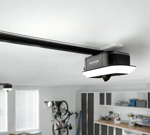 LiftMaster chain-drive garage door opener